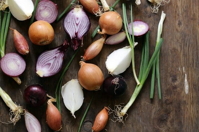 onions_resize